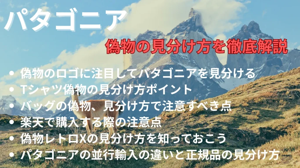 パタゴニア偽物の見分け方を徹底解説