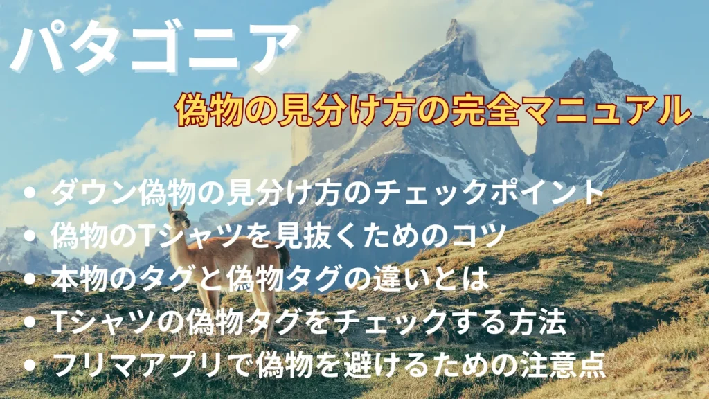 パタゴニア偽物の見分け方の完全マニュアル