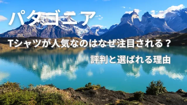 パタゴニアのTシャツが人気なのはなぜ注目される？評判と選ばれる理由