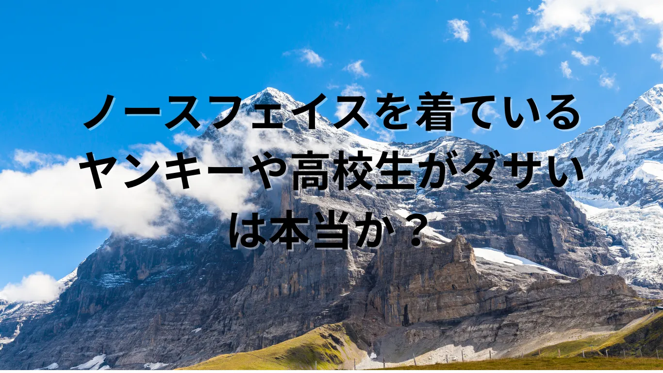 ノースフェイスを着ているヤンキーや高校生がダサいは本当か？徹底検証