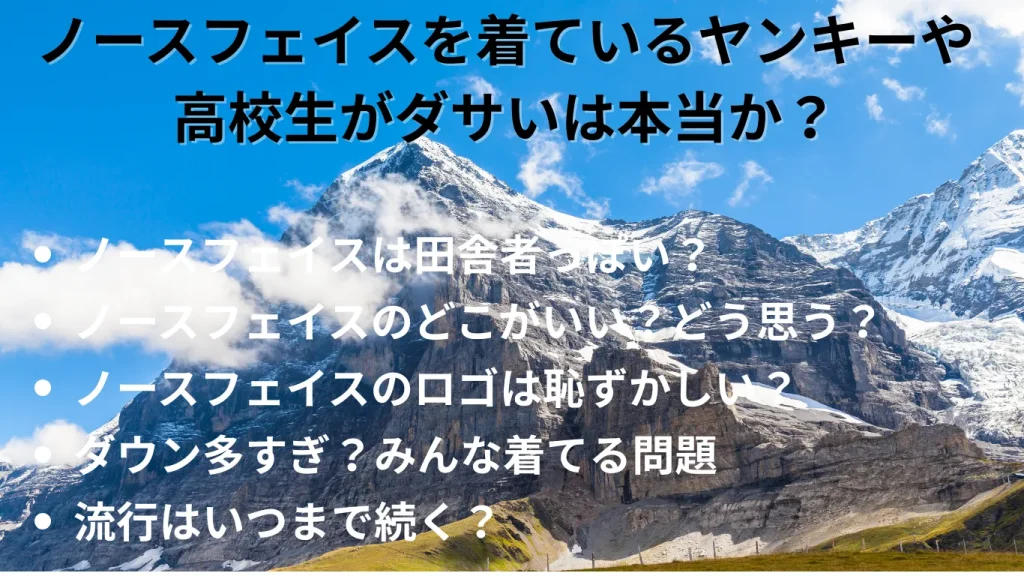 ノースフェイスを着ているヤンキーや高校生はダサいのか？